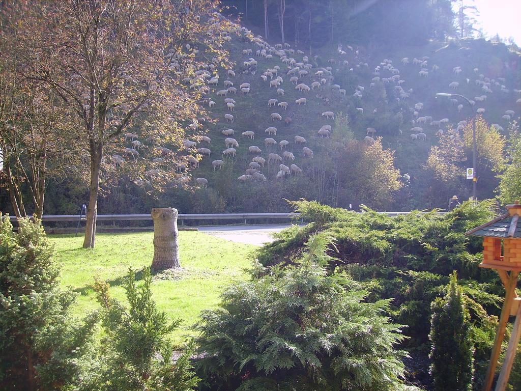 Schatz'N Hof Pottenstein Dış mekan fotoğraf